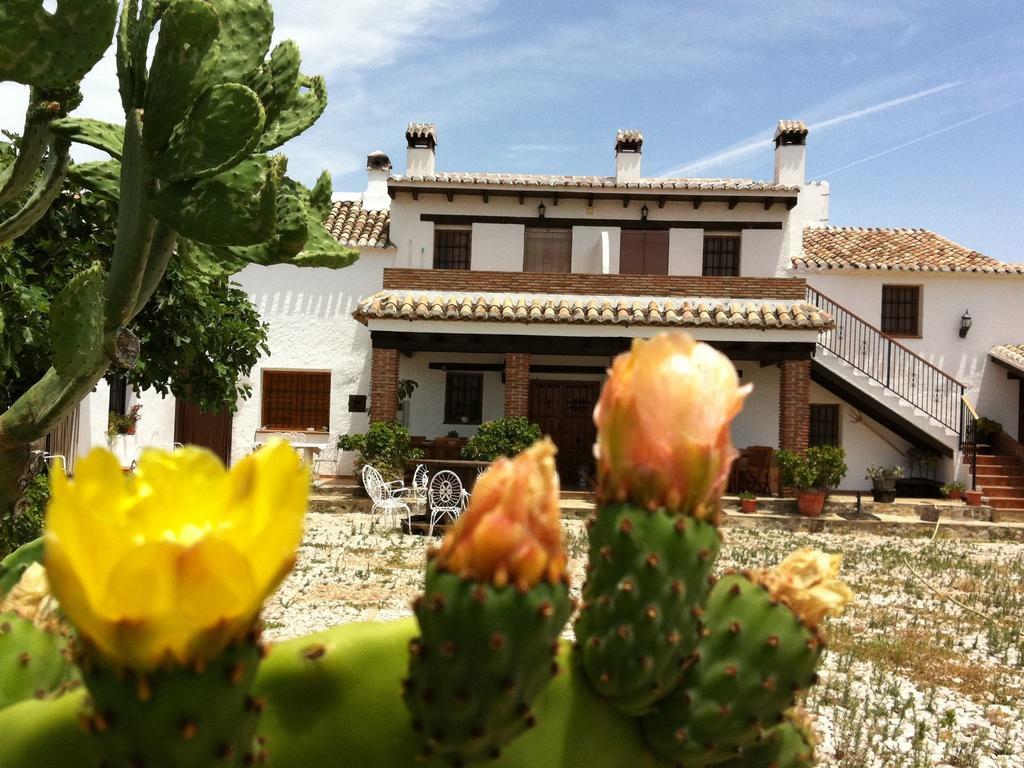 Belvilla By Oyo Cortijo Las Monjas Periana Exteriér fotografie